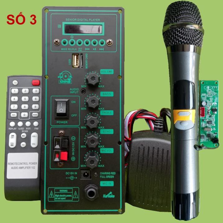 Mạch loa kéo HA8622 2 kênh kèm mic kèm micro