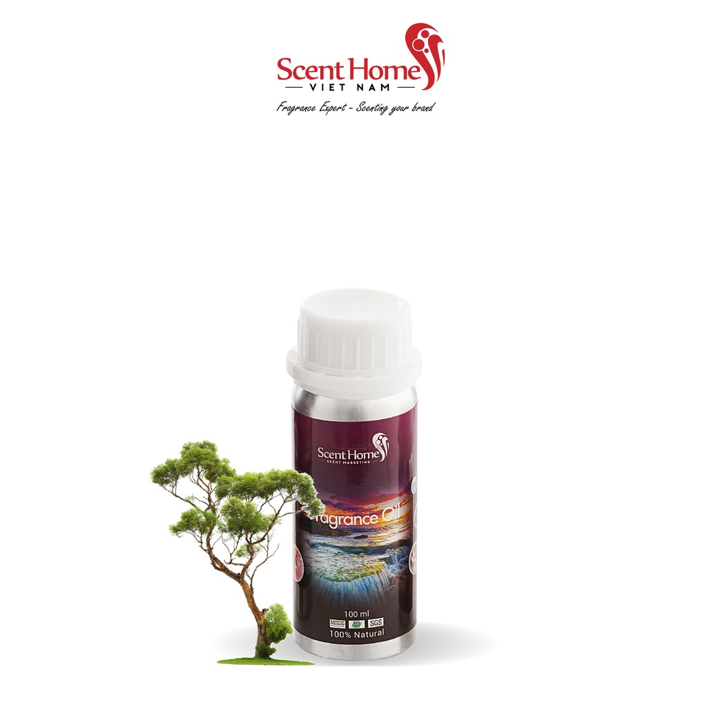 [Chính hãng] Tinh dầu Dream Tree- Scent Homes (Dream Tree - 50ml,100ml,250ml)