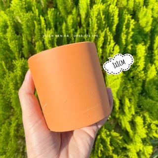 Chậu đất nung trồng sen đá