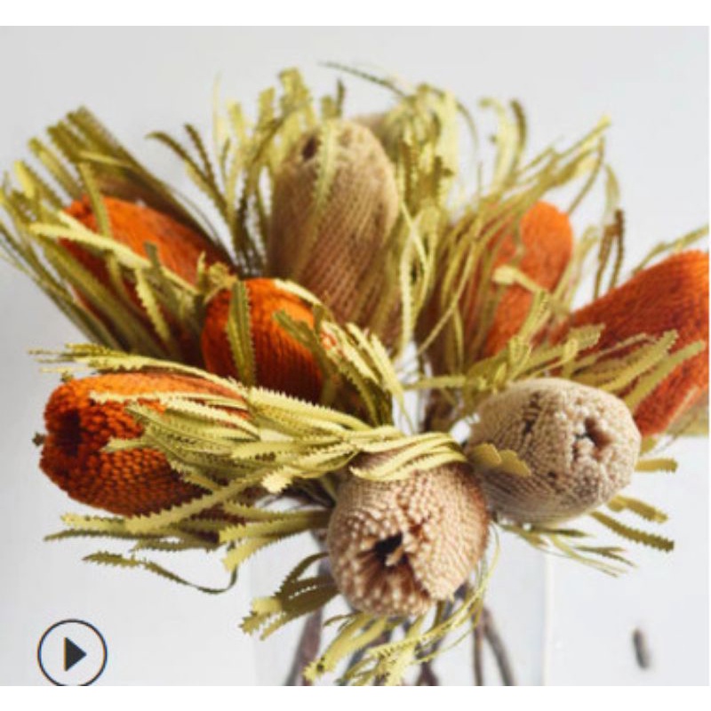 Banksia dùng để trang trí cắm hoa, làm đồ handmade.