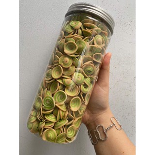 🌱BÁNH TAi HEO NHÍ VỊ TRÀ XANH🌱