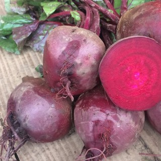2gr hạt giống củ dền đỏ