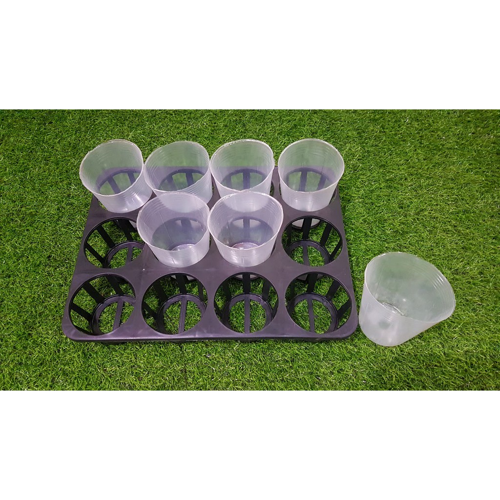 combo khay 3.5in 12 lổ chuyên đựng chậu hồ điệp và 12 chậu mềm dẻo trắng 3.5in.