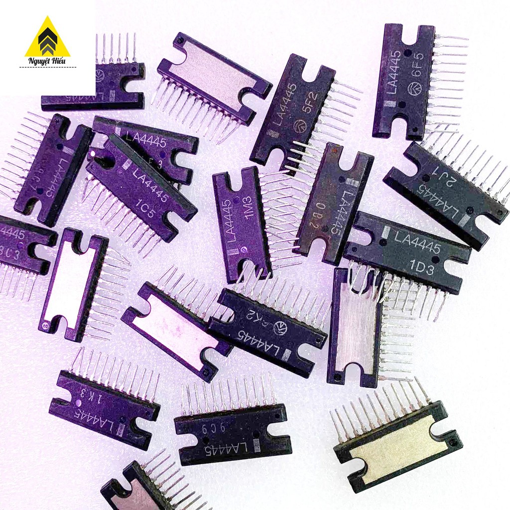 2 con ic LA4445 12 chân