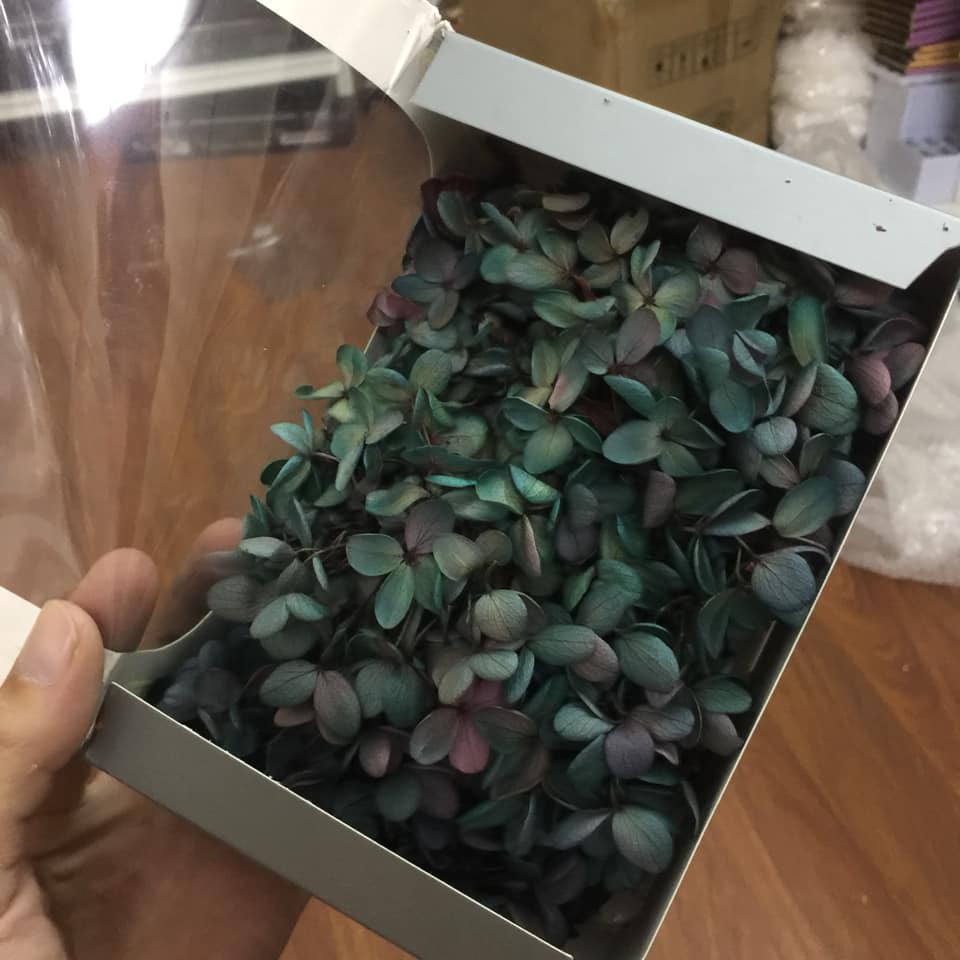 Hộp hoa khô siêu lớn