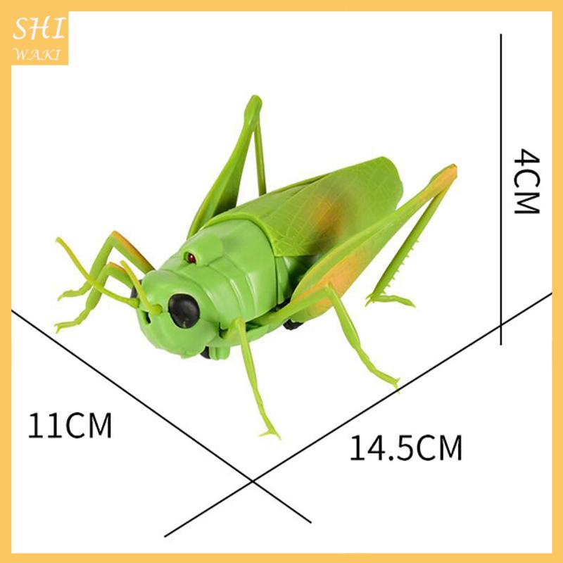 Đồ Chơi Mô Hình Côn Trùng Máy Bay Điều Khiển Từ Xa Mẫu Mới Lạ Làm Quà Tặng Cho