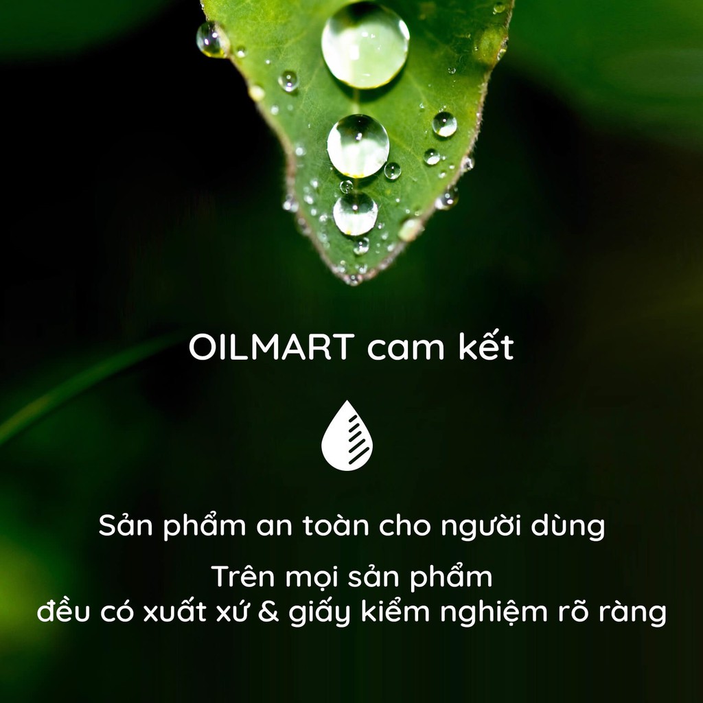 Tinh Dầu Thiên Nhiên Sả Chanh Oilmart Essential Oils Lemongrass