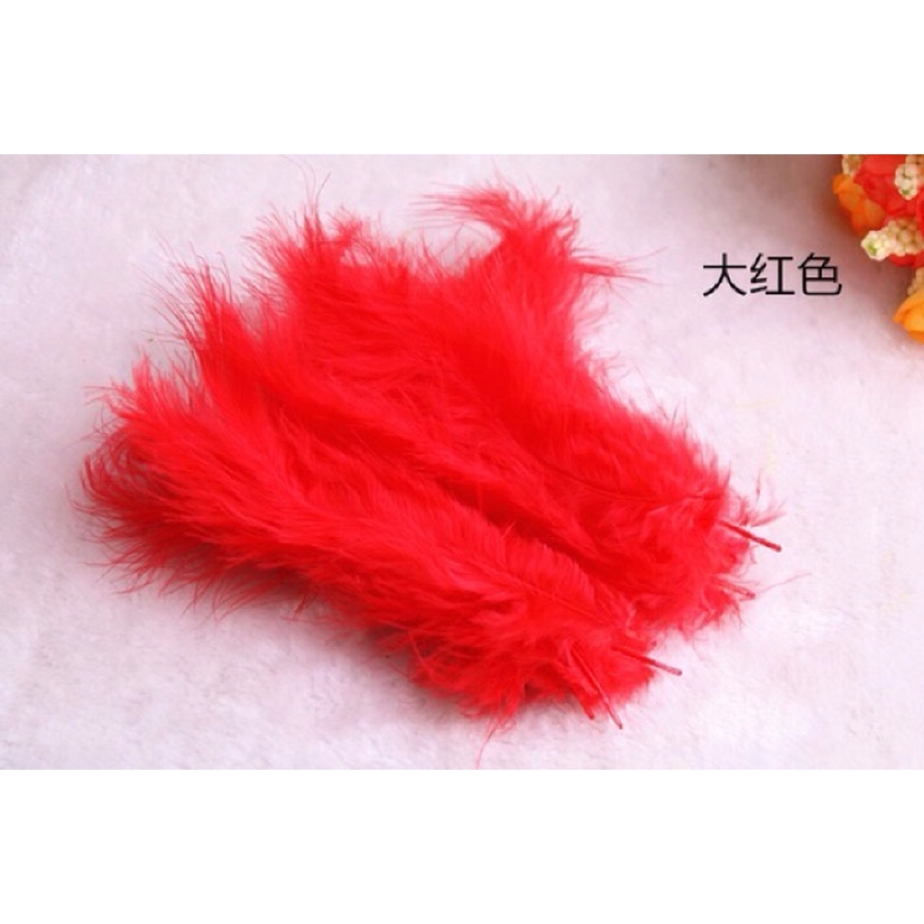 Bộ 100 Lông Vũ Tự Nhiên Nhiều Màu Sắc Làm Đồ Thủ Công DIY