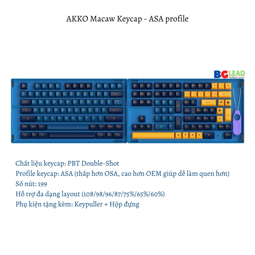 Bộ keycap cho bàn phím cơ AKKO Keycap set – Macaw (PBT Double-Shot|Cherry profile-157 nút|ASA-profile-199 nút)