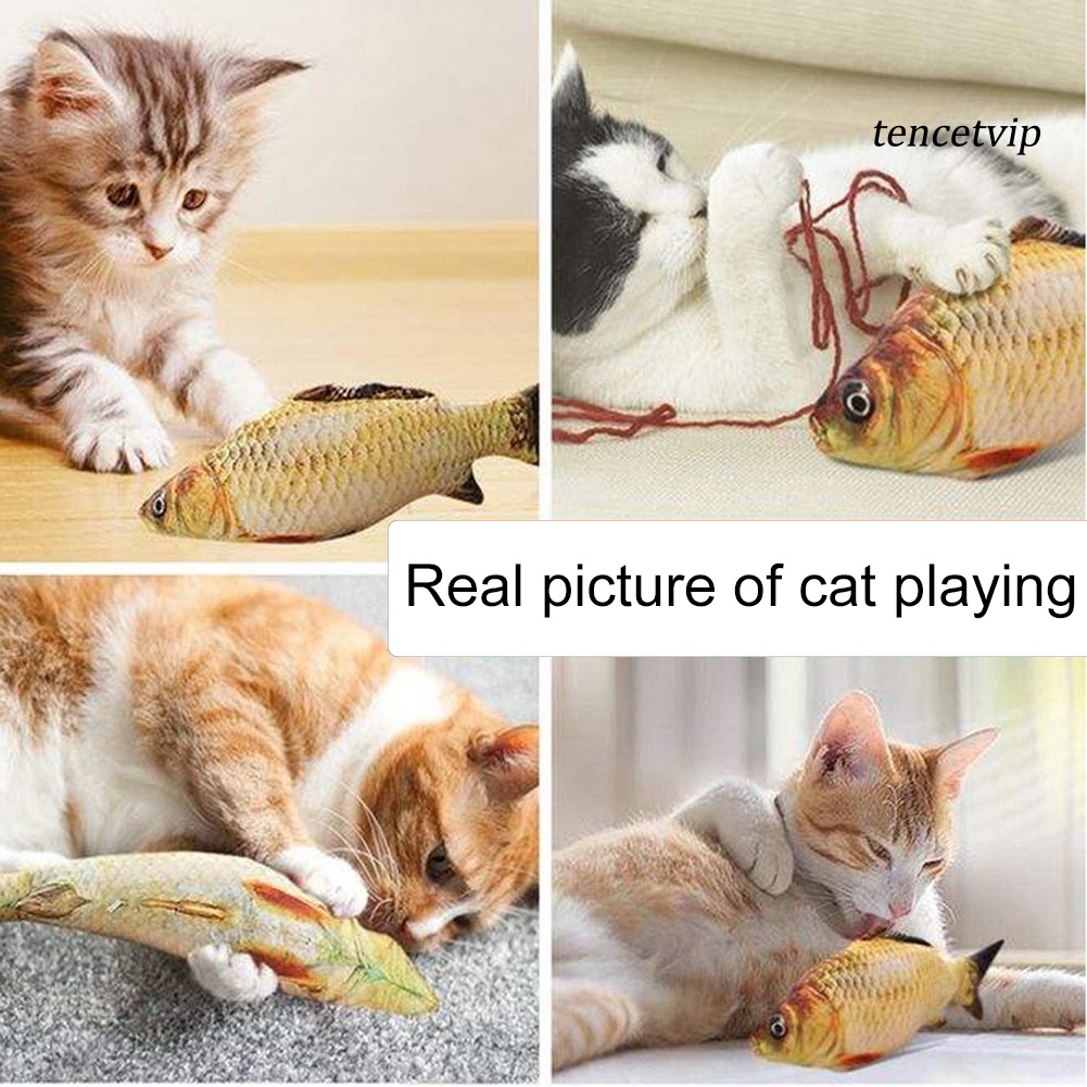 Cá Nhồi Bông Đồ Chơi Làm Sạch Răng Cho Mèo