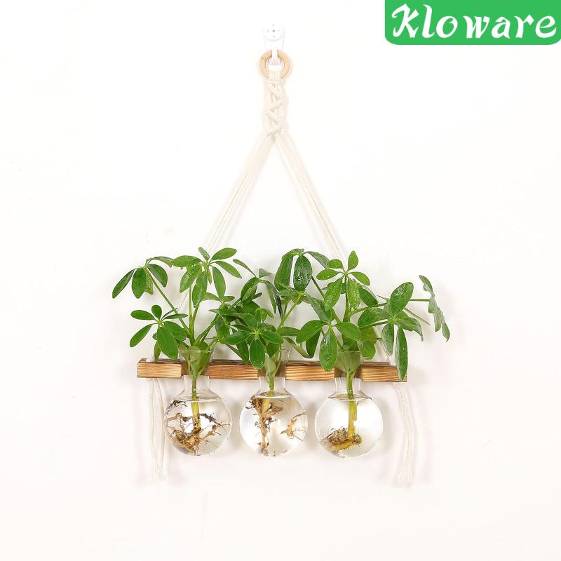 Wall Hanging Planter for Hydroponic Plants Modern Bulb Glass Vase for Home