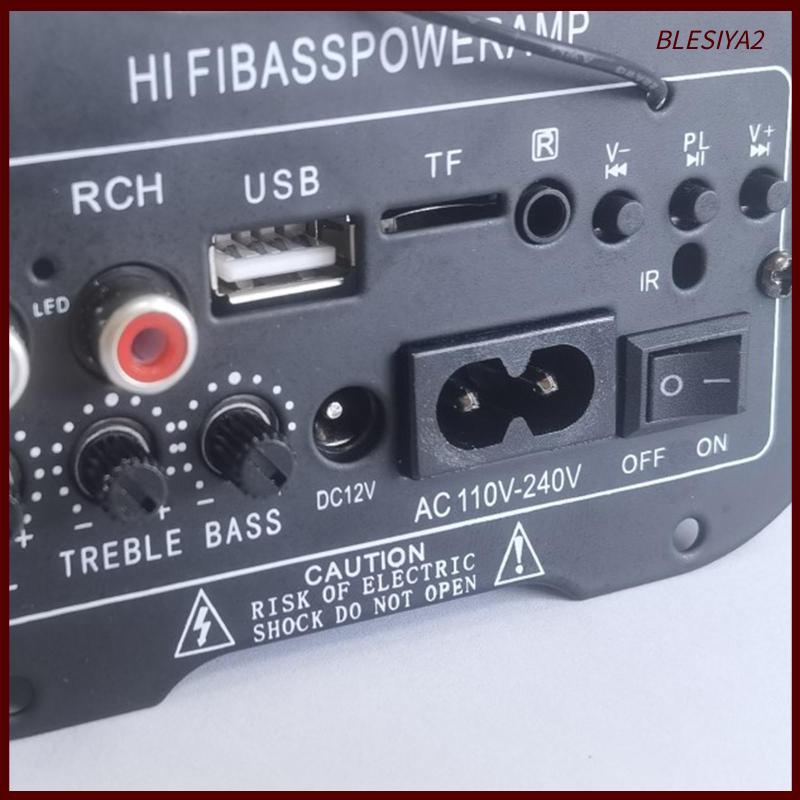 Bảng Mạch Khuếch Đại Tín Hiệu Radio TF / USB Blesiya2