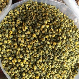 100G HOA CÚC KHÔ BỊCH  ( NỤ HOẶC HOA ).