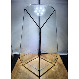Tiểu Cảnh Bình thủy tinh terrarium giá sĩ