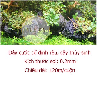 Cước buộc rêu, cố định cây thủy sinh