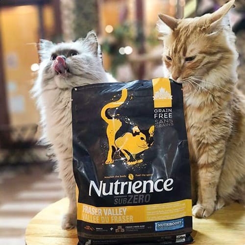 [DINH DƯỠNG CAO] Thức Ăn Hạt Cho Mèo Anh ALD &amp; ALN Nutrience Subzero Bao 5kg - Thịt Gà, Cá Hồi, Rau Củ,Trái Cây Tự Nhiên