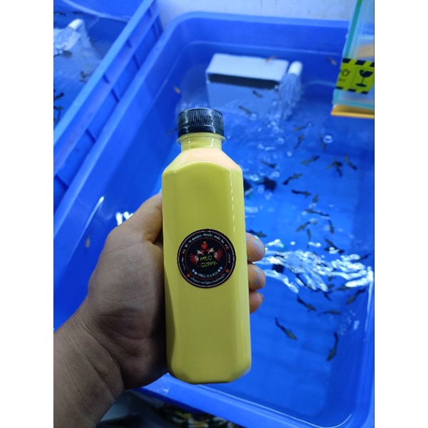 Sơn Chống Thấm chuyên cho hồ cá cảnh hàng công ty