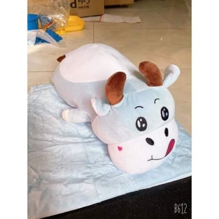 Bộ mền gối trâu - hàng tặng từ sữa nan