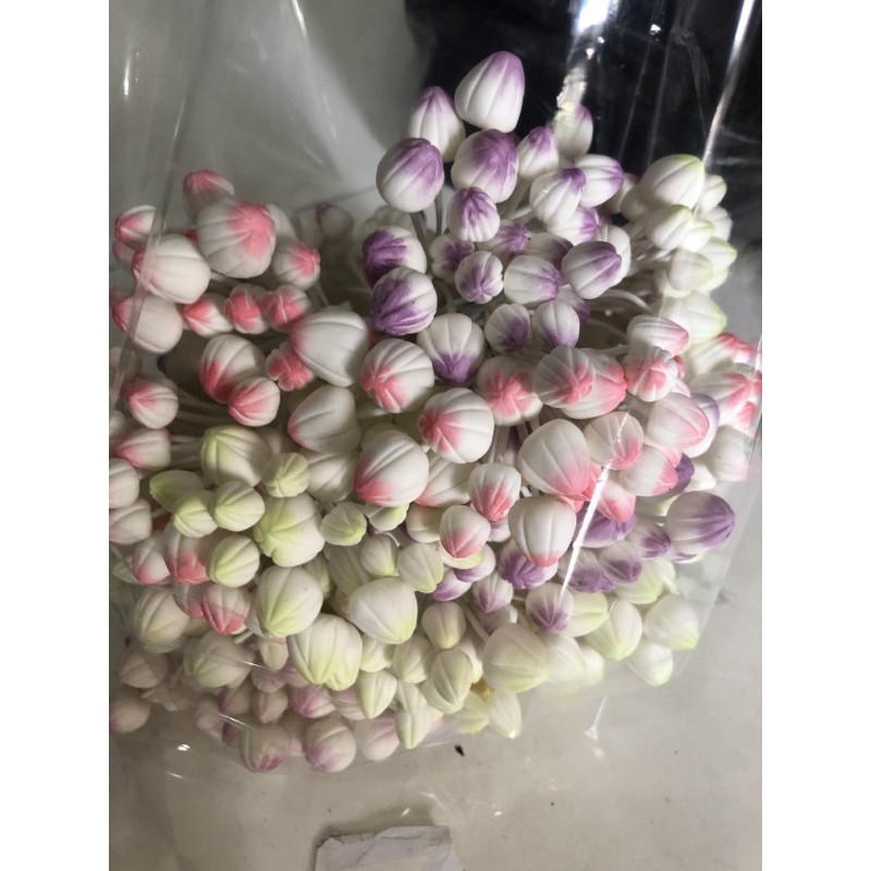 Nụ hồ điệp 1 bó 25 cái
