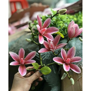 Cành Mộc lan- hoa giả hàng nhập