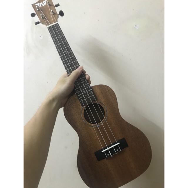 ĐÀN UKULELE CONCERT TNT GIÁ RẺ