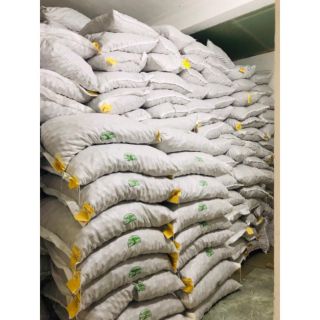 500G NHÂN ÓC CHÓ ĐỎ MỸ