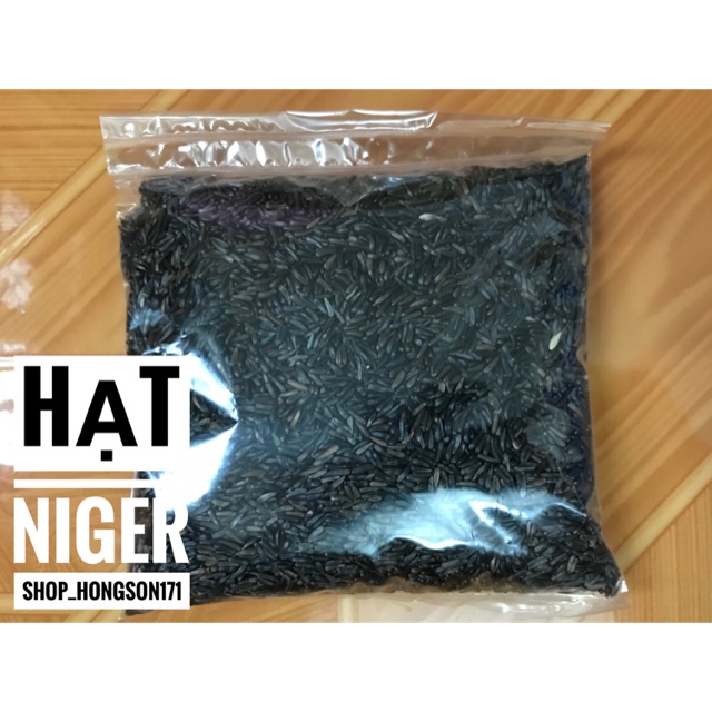 Hạt niger cho chim yến