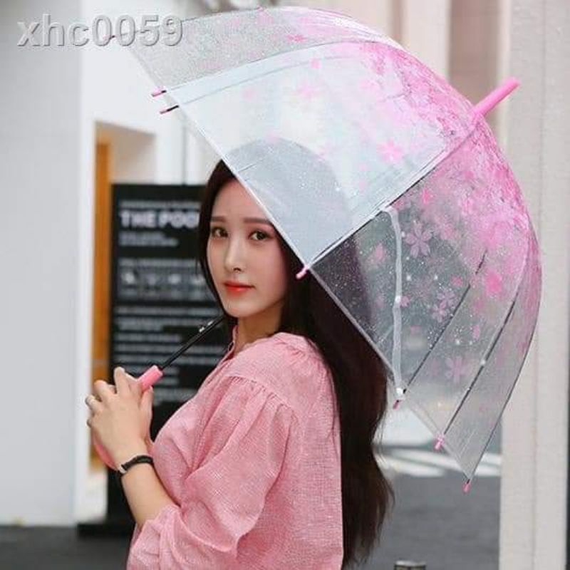 Ô Dù hoa cúc trong suốt