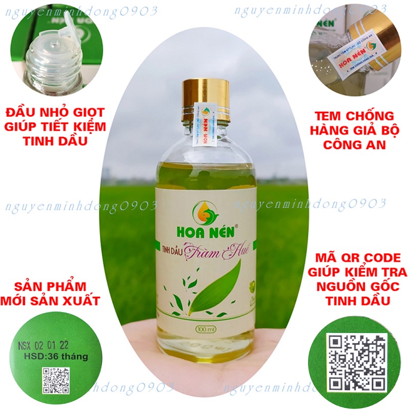 Tinh Dầu Tràm Huế Nguyên Chất 100ml - Tinh dầu tràm giúp giữ ấm, xông phòng hiệu quả