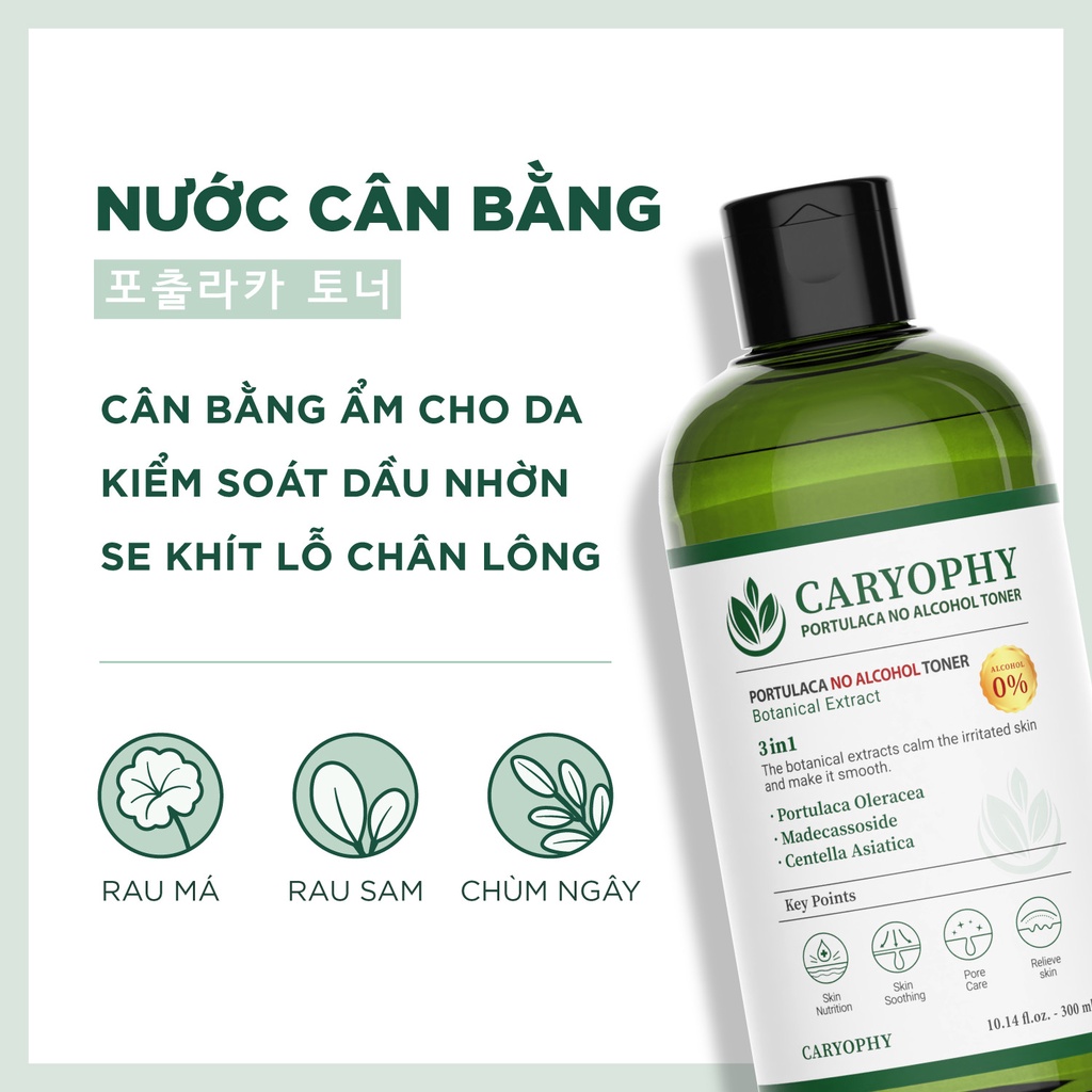 Nước Hoa Hồng Caryophy Ngừa Mụn Kiềm Dầu Giảm Thâm 300ml Portulaca Toner