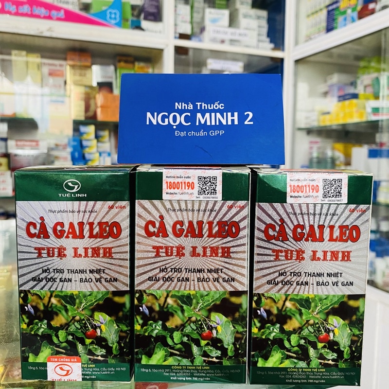 ✅ [Chính Hãng] Cà Gai Leo Tuệ Linh (Lọ 60 viên) giải độc gan, giải độc rượu bảo vệ gan.