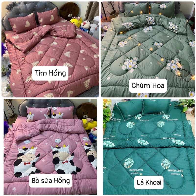 [Có video quay thật] BỘ CHĂN PHAO GA GỐI COTTON POLY 5 MÓN, Bộ chăn phao dày dặn, Bộ chăn phao cao cấp, chăn phao giá rẻ | BigBuy360 - bigbuy360.vn