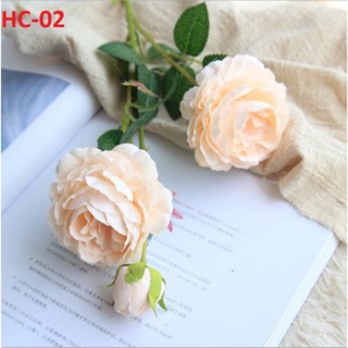 Trà mao lương giả cành 2 bông 1 nụ - Loại đẹp