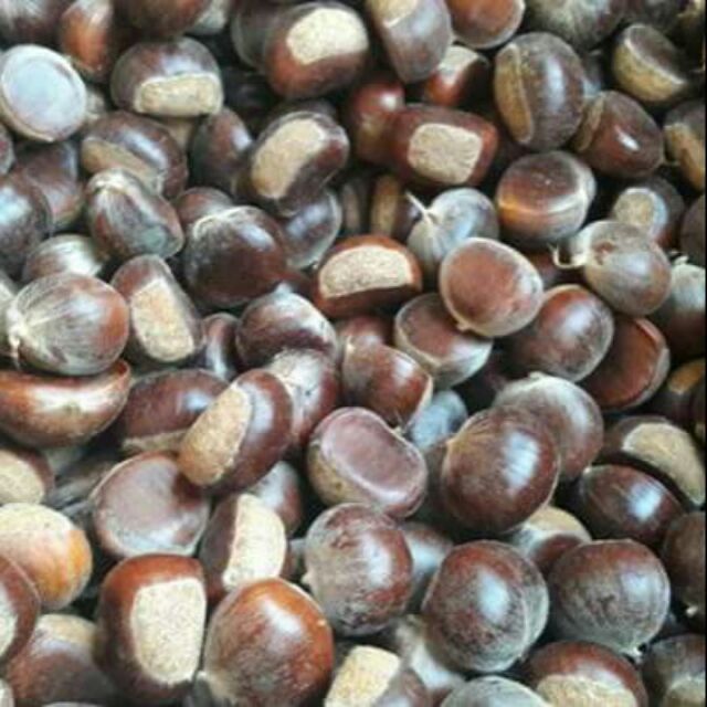 Hạt dẻ Cao Bằng