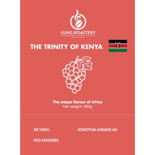 Combo hạt cà phê "the trinity of kenya" - ab tamu, kisii masimba, komothai kanake