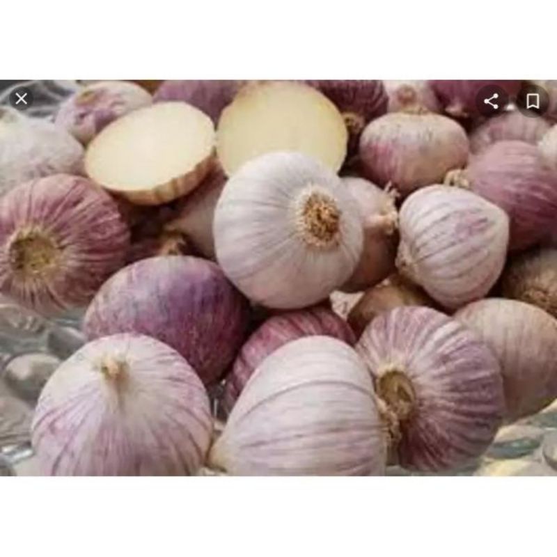 500g tỏi cô đơn