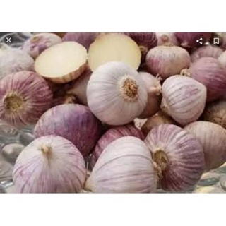 500g tỏi cô đơn