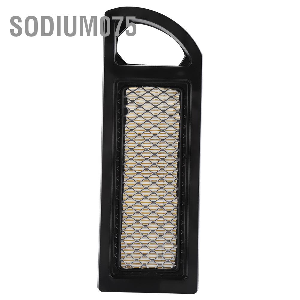 Sodium075 Air Filter For Briggs Stratton 697153 698083 795115 653202 695547 697014 14-17.5HP