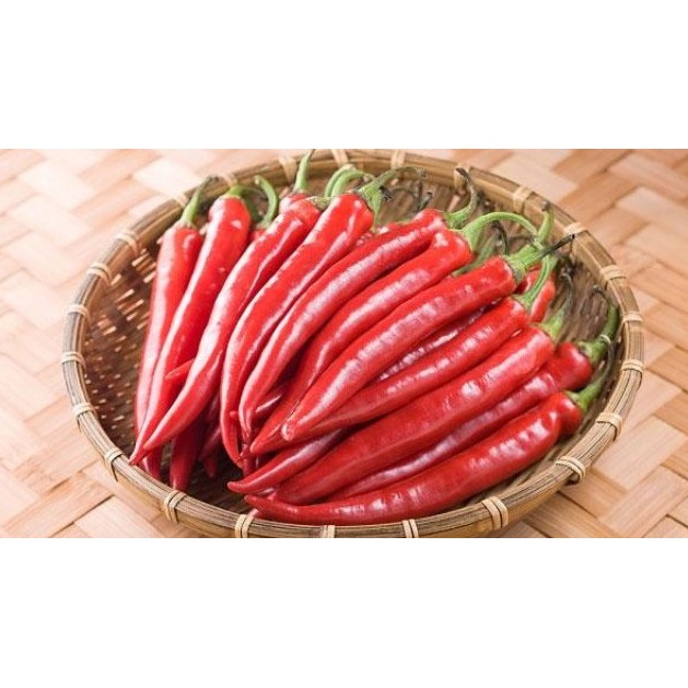 HẠT GIỐNG ỚT SỪNG ĐỎ F1 ẤN ĐỘ - GÓI 0,3 GRAM