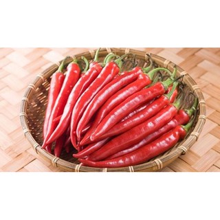 HẠT ỚT SỪNG ĐỎ F1  Imperial - GÓI 0,3 GRAM