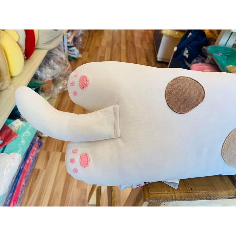 Mèo thun Hikosen Cara