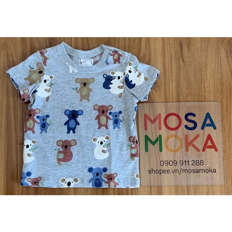 áo thun xám gấu koala hm auth