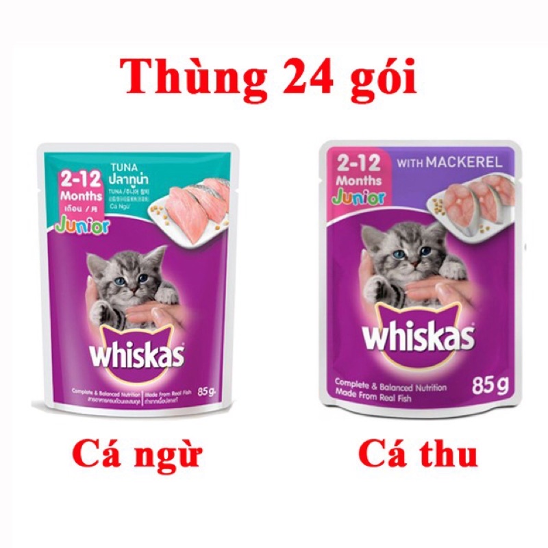 thức ăn dạng pate cho mèo con 85g