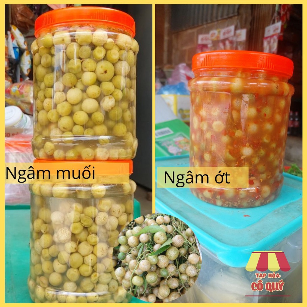 Quả Mắc Mật Tươi Ngâm Muối Ăn Quanh Năm, Mắc mật tươi ướp thịt quay, làm măng ớt - Tạp hóa cô Quý