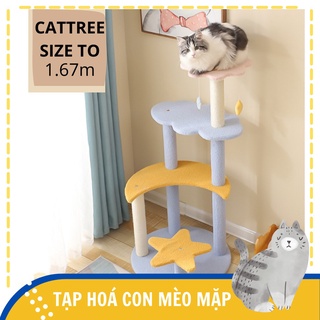 Nhà cây cào móng cho mèo cattree cao 1m67 giá tốt Hè 2021