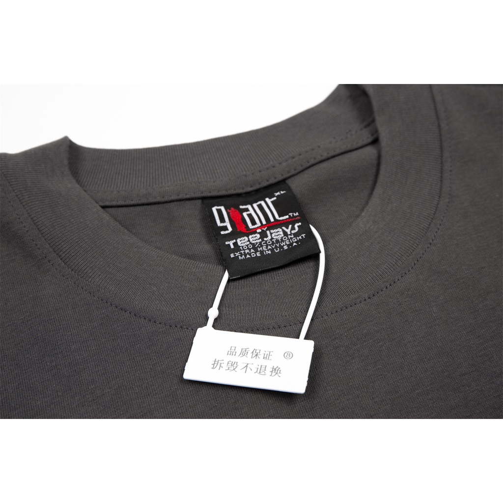 Rammstein German chariot metal band retro flame old short-sleeved VTG high street loose casual T-shirt