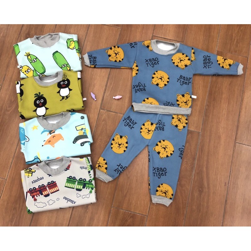 Bộ nỉ lót lông bo ống dày ấm, bộ nỉ dài tay