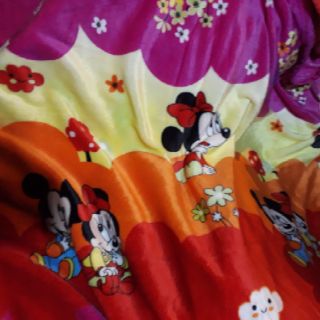 Mền long tuyết :1m8 x 2m ( mat 4 mùa)