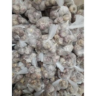 tỏi bắc-tỏi tím 1 kg