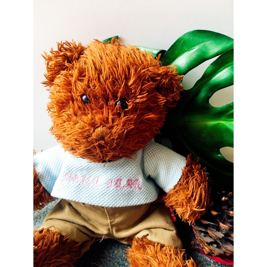 Gấu bông Teddy áo xanh dễ thương